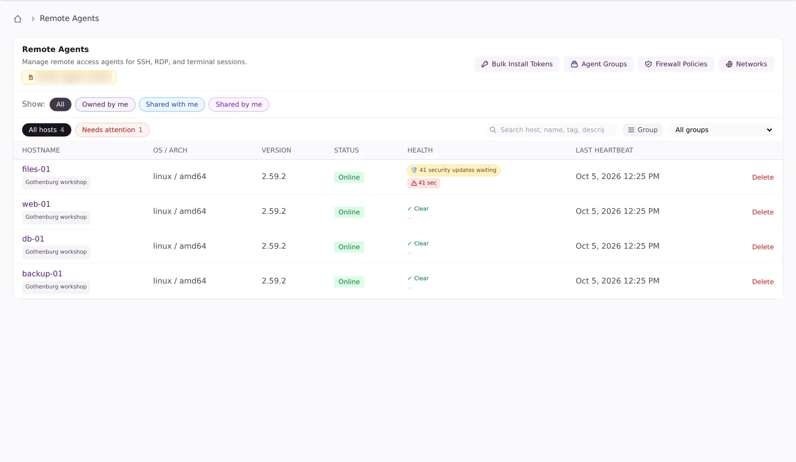 The vault56 Remote Agent host list with the health of every machine